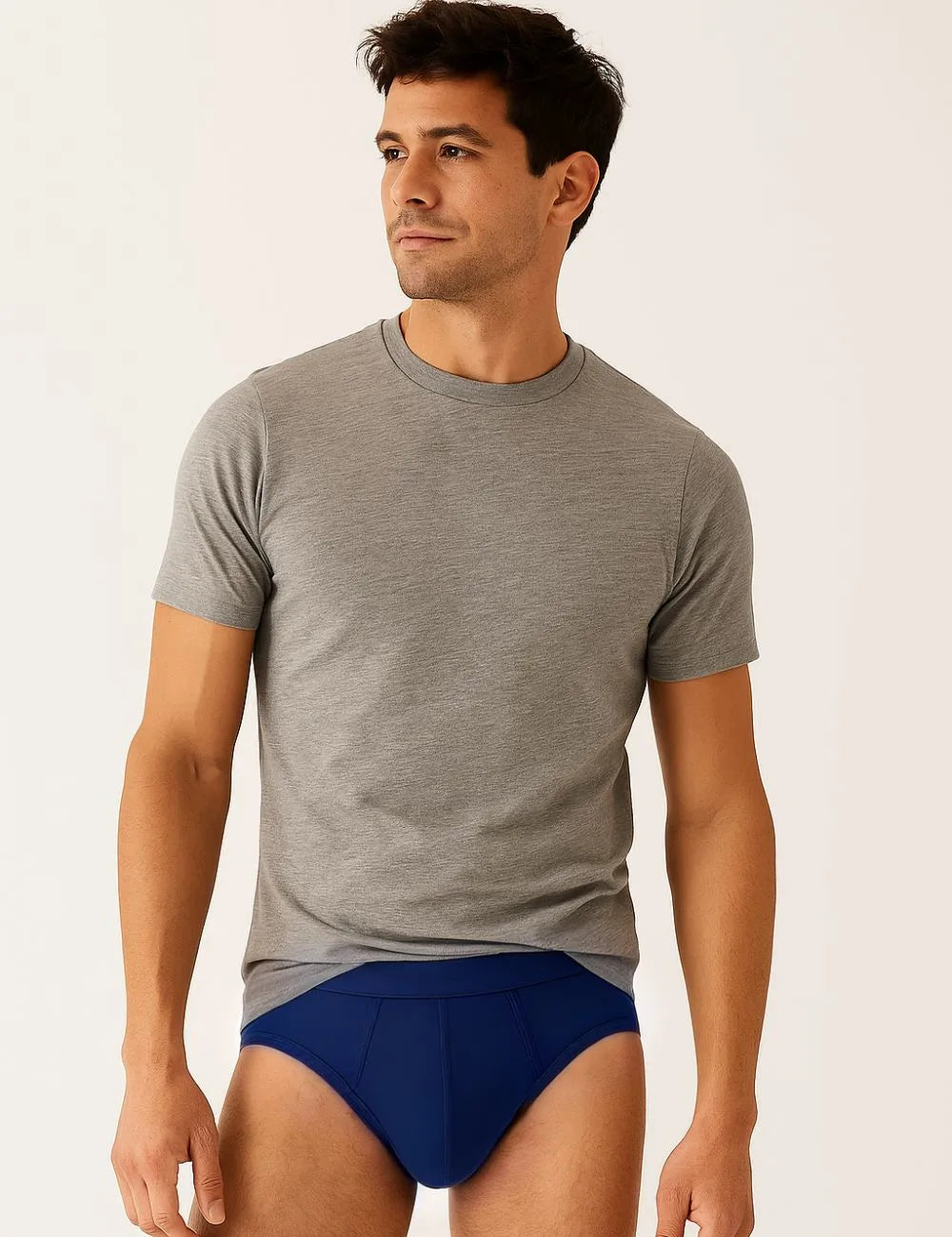 Delizo premium brief I.E