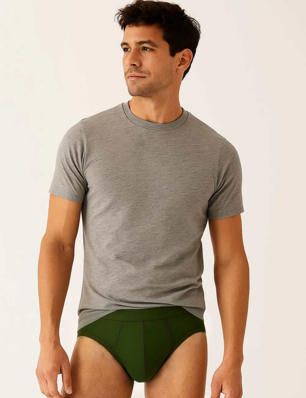 Delizo premium brief I.E